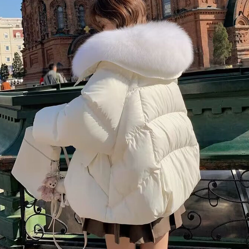 Kendall - Cotton-Padded Jacket